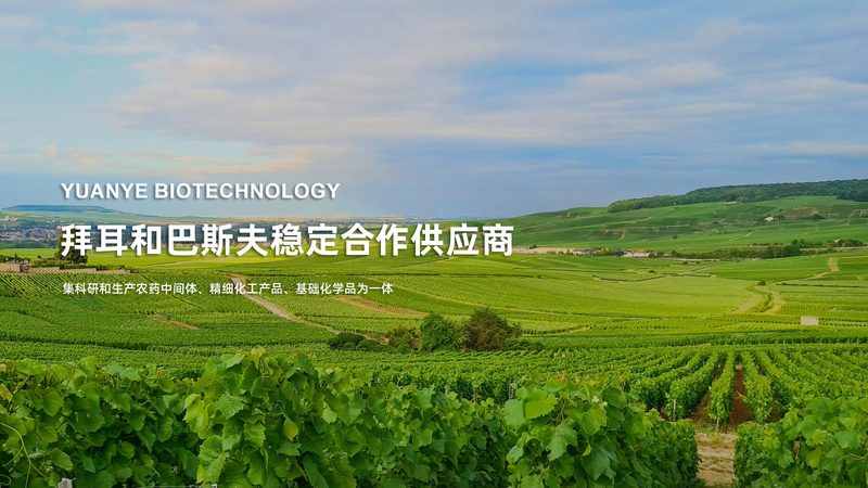 广州生物科技公司产品规格参数揭秘：关键指标解析**
