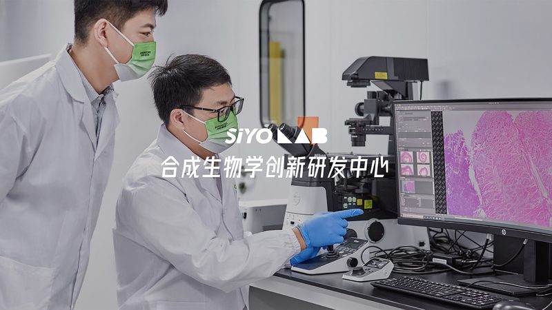 上海PCR扩增仪参数定制服务
