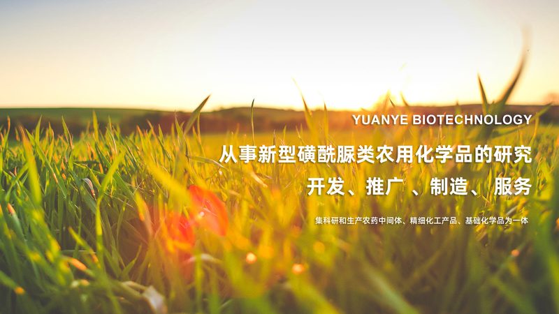 CDMO公司排名背后的创新药研发真相**