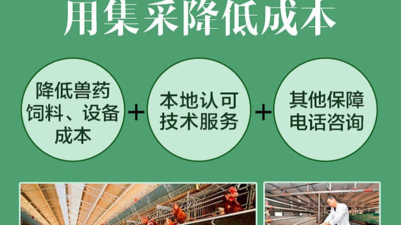 CRS实施流程：揭秘医药研发中的关键步骤