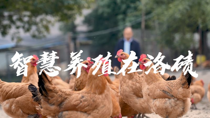 无创基因检测假阳性率几何？揭秘其背后的科学真相**