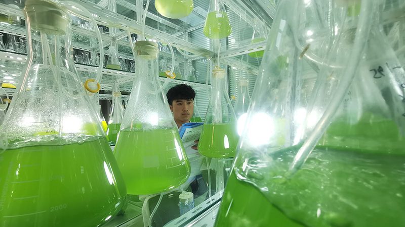 家用生物科技产品加盟代理：揭秘加盟背后的行业逻辑**