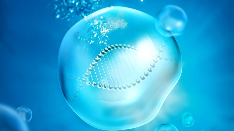 生物实验室耗材，如何挑选品质之选？**
